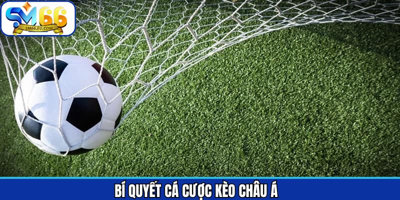 Thủ thuật vào tiền kèo châu Á trúng cực đậm