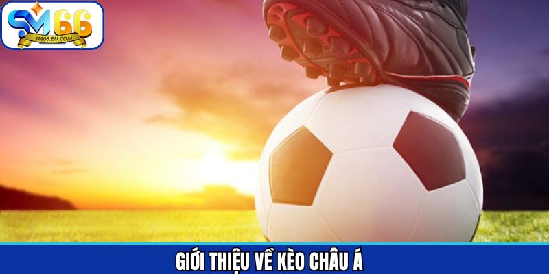 Khái niệm về hình thức cá độ Handicap