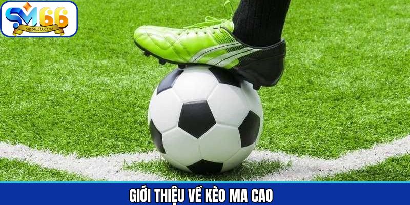 Nội dung sơ lược về kèo cược ma cao