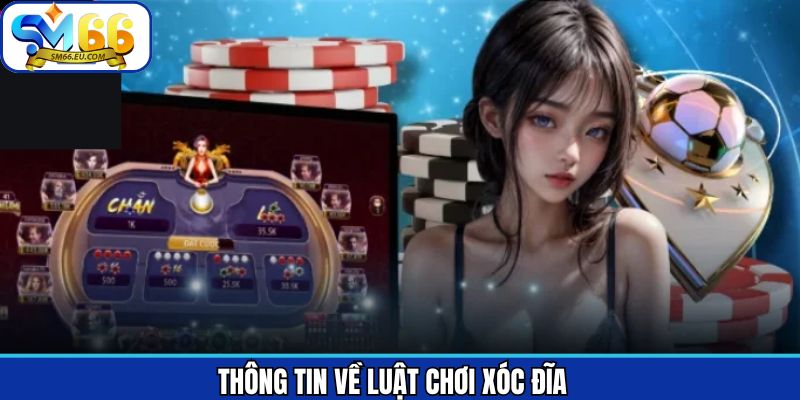 Thông tin tổng quan của quy tắc tham gia xóc đĩa 